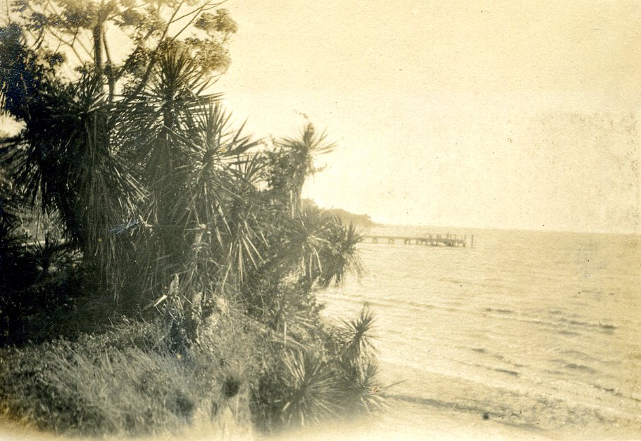 Gould 1914976.jpg